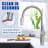 Single Handle Kitchen Faucet with Pull-Down Sprayer