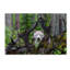 « loup », reproduction de photo sur toile tendue-23531686