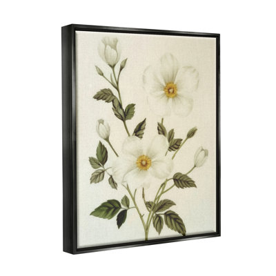 Bb-322-Floater Vintage Apple Blossoms, encadré sur toile par Ziwei Li