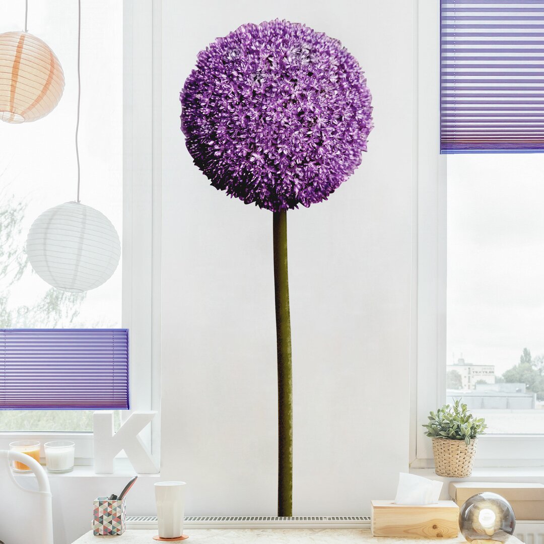 Wandtattoo Allium Kugel-Blüten