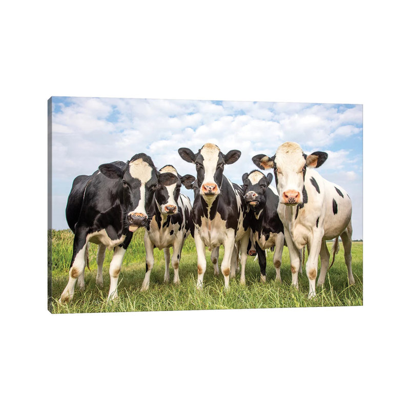 Petites amies, H 26 po x l 40 po x 1,5 po, Toile tendue
