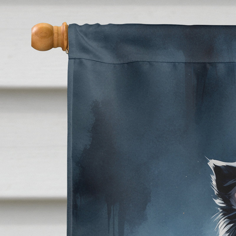 Drapeau de chiot Halloween House, Border collie