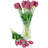 Tulip Arrangement