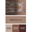 Oriental Indoor Rug-1658837669