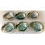 Mineralist Abalone Shell-1410158945