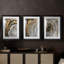 Série ABSTRACT CCLxxix - Impression sur mesure encadrée de qualité supérieure - 3 pièces-1058658548-1058658550