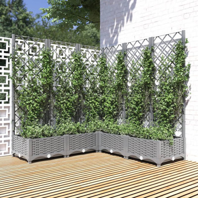 Chandi Raised Garden Bed with Trellis