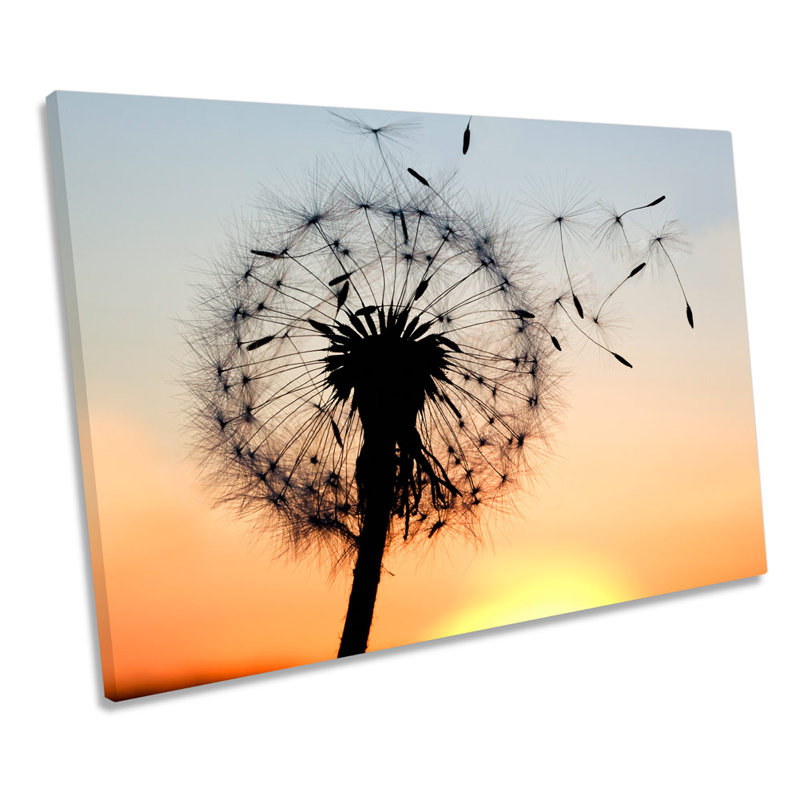 Dandelion Clock Sunset Floral - Wrapped Canvas Art Prints, 30.5cm H x 45.7cm W x 2cm D