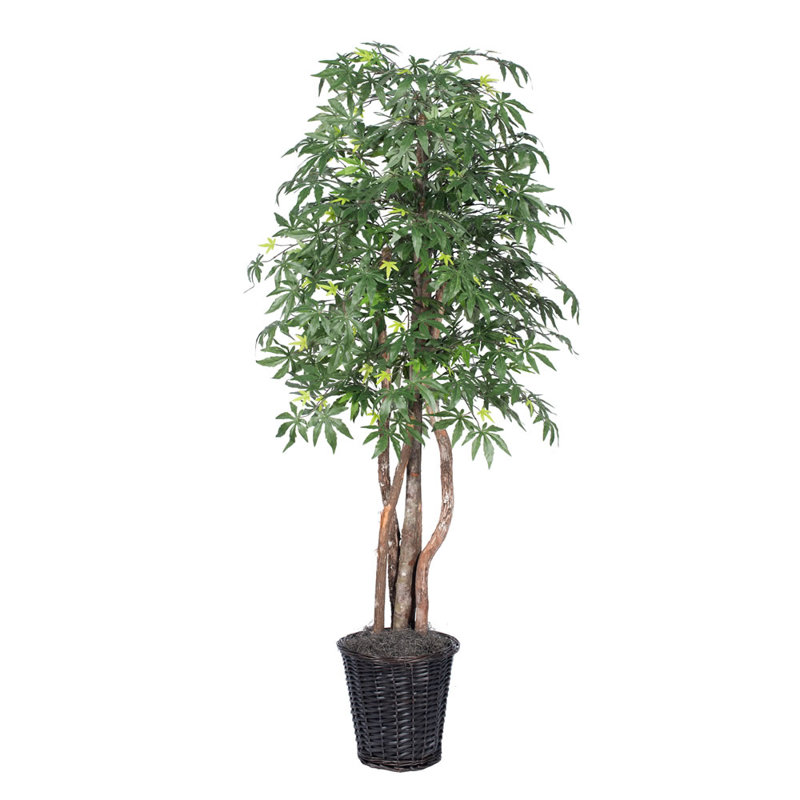 72'' Faux Tree in Wicker/Rattan Basket