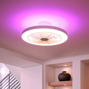 Ventilateur de plafond 19,6 "avec lumières à DEL et télécommande Hemion (série de 2) Hemion