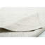 Handmade Rug Made Of Wool In Cream-67881823