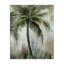  Impression sur toile «Fanning Palms Impression» par Nan-2107495462