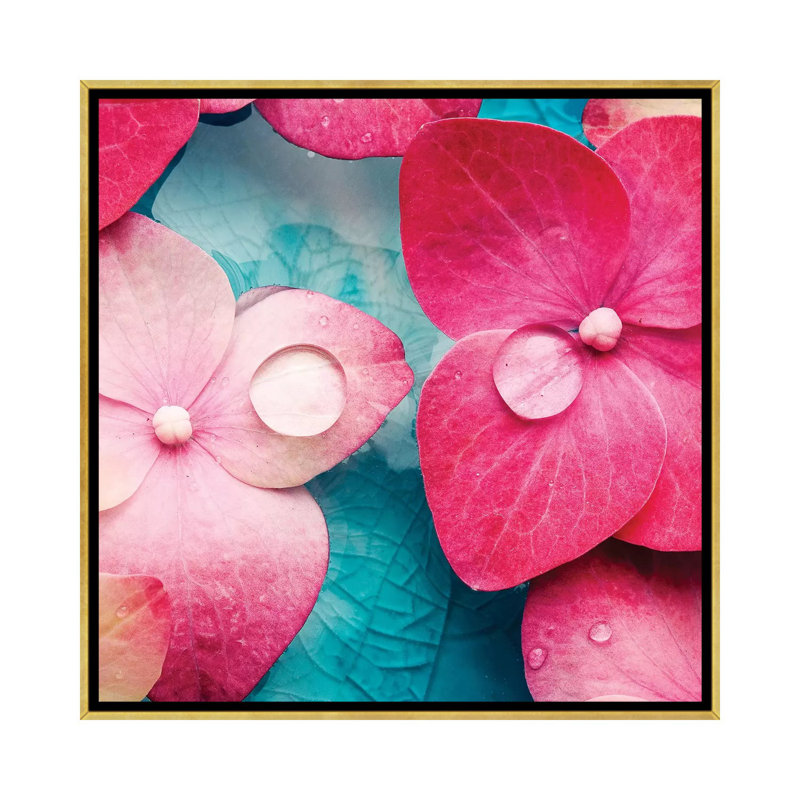«Pink Flowers» par PhotoNC Studio - reproduction de photo sur toile tendue, H 12 po x l 12 po x P 1,5 po, Pas de tapis