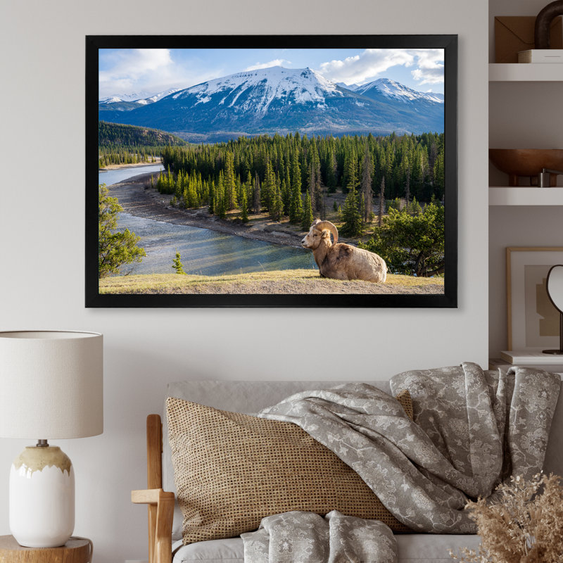 Faune sauvage, paysage de l'Alaska II, H 12 po x l 20 po x P 1 po, Cadre photo noir