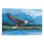 «Eagle Soaring» par Tim O'Toole - reproduction d'art sur toile tendue-73146053-73146051-73146052