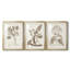 Antique sépia botanicals I - impression encadrée sur mesure de qualité supérieure - 3 pièces-810536288-810536292