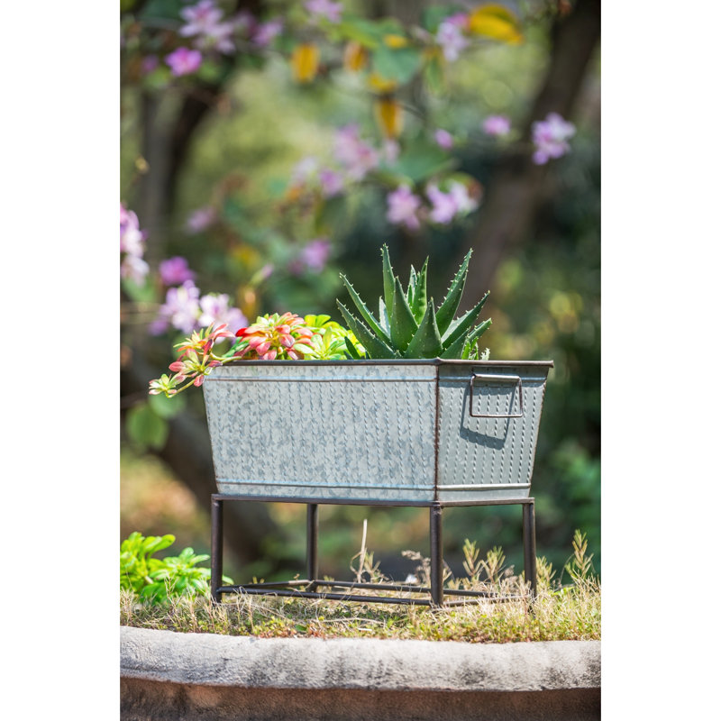 Jardinière en métal rustique en deux pièces avec supports Venellope, parfaite pour ajouter un élément à votre décor