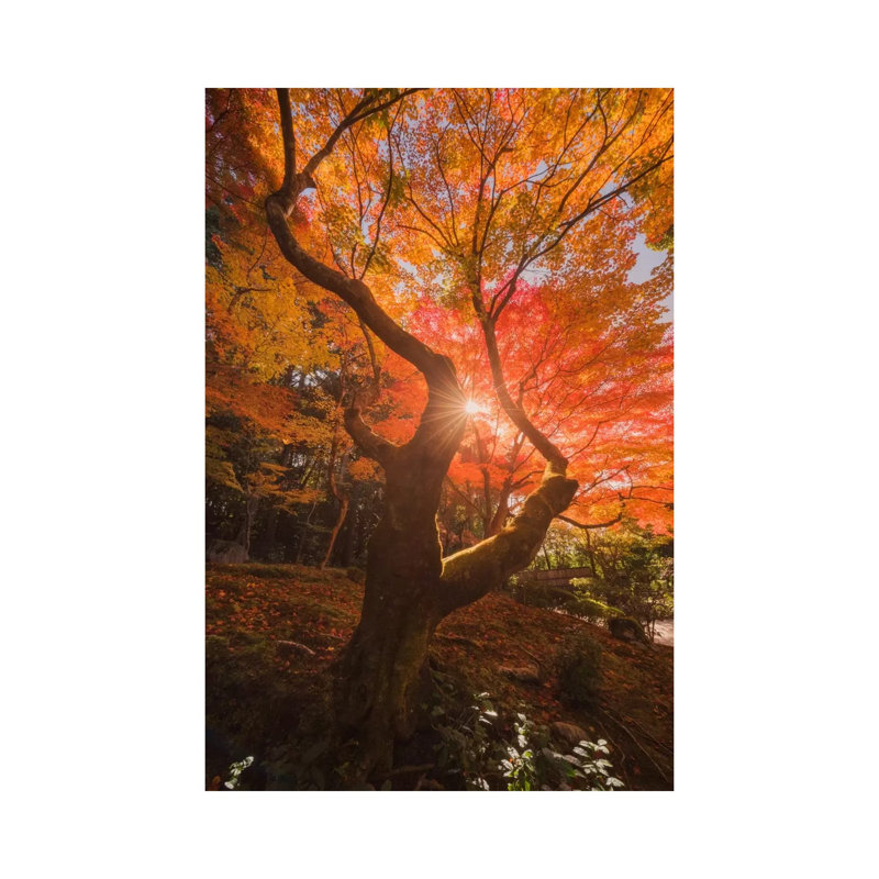 Autumn in Japan XXVIII 1 Piece Wrapped Canvas Wall Art, 66.04 cm H x 45.72 cm W x 3.175 cm D