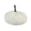 Citrouille lestée de chenille-686410