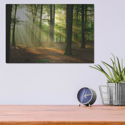 " Rays Of Light, " by Luxe Metal Portfolio