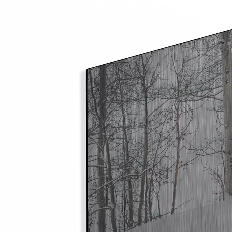 Art mural, 48 po x 24 po, H 12 po x l 24 po