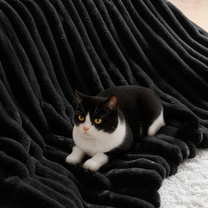 Jasmine 3 Piece Ultrasoft Faux Fur Ribbed Comforter Set, King Comforter + 2 King Shams, Black