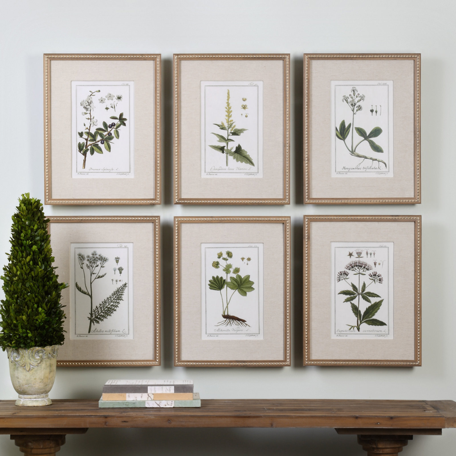 Green Floral Botanical Study Print
