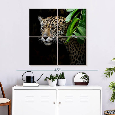 Brampt rôdant Jaguar