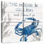 Aletra L'océan appelle le crabe