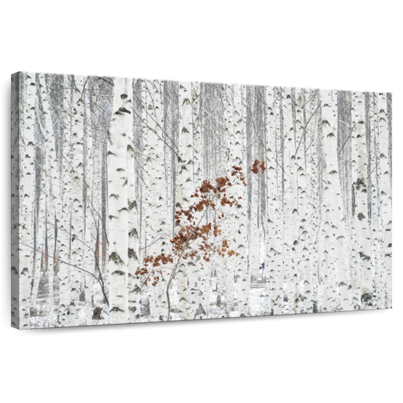 Alvord From White, 24" H x 36" W