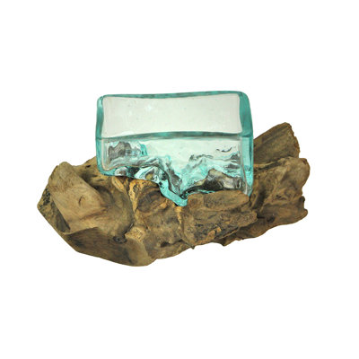 Rectangular Glass On Driftwood Decorative Bowl/Vase/Terrarium Succulent Planter