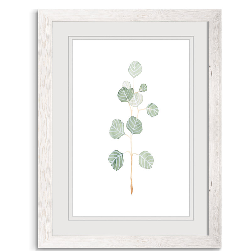 Douce branche d'eucalyptus II - Peinture encadrée sur papier, H 44 po x l 32 po x P 1,25 po, Cadre espresso