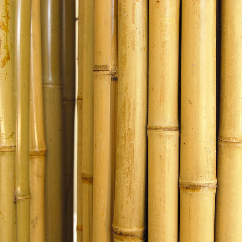 Panneau de clôture enroulé d'extérieur en bambou naturel pour clôture X-scapes 4 pi L x 1 po, H 7,5 pi x L 4 pi x P 1 po