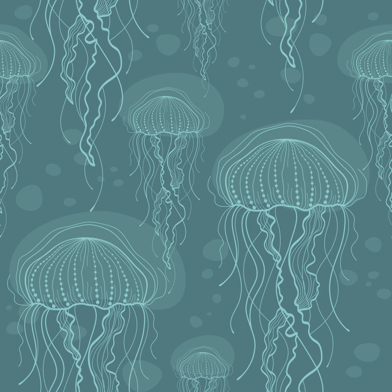 Jellyfish2 - Wrapped Canvas Print, 76cm H x 76cm W x 3.8cm D