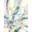 Crystal Sound I Print by Janice Sadler-25798311-25798307
