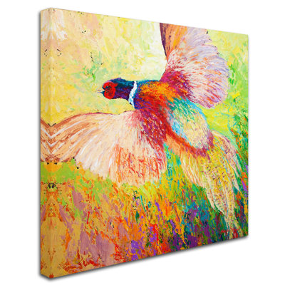«Pheasant 1» par Marion Rose, reproduction sur toile tendue