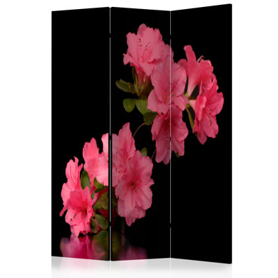 135cm W x 172cm H 3 - Panel Wood Folding Room Divider