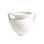 Grecian Amphora Decorative Bottle