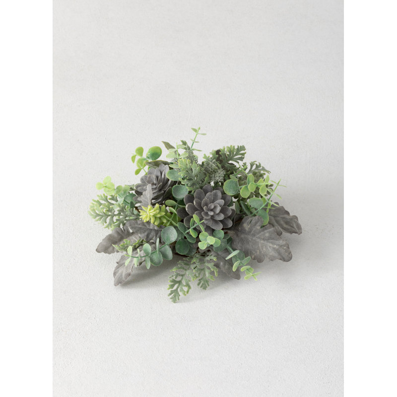 Arrangement floral de succulente