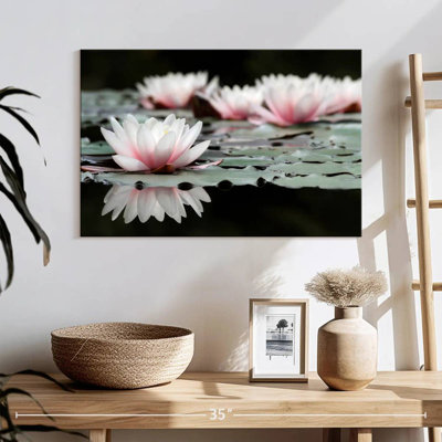Harnek Subtle Lotus Flowers
