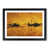Black Framed selected