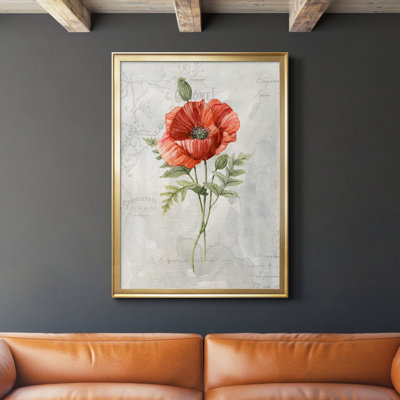 " Linen Poppy " Painting Print
