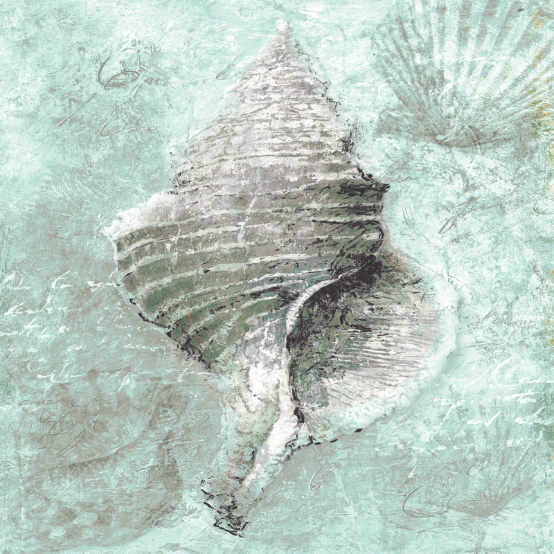 Mint Shell 2 - Wrapped Canvas Print, 30cm H x 30cm W x 3.8cm D