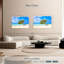 Arbre solitaire sur la plage d'Aruba-248837588