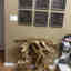 Customer photo 1 of 1