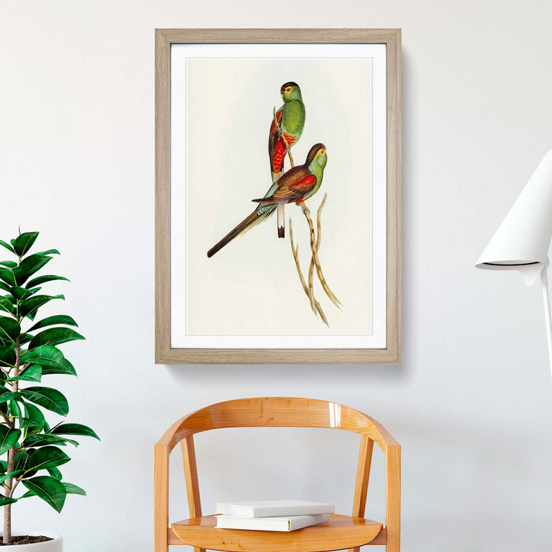 Beautiful Parakeets by Elizabeth Gould - Single Picture Frame Painting, Oak Framed, 45cm H x 33cm W x 2cm D