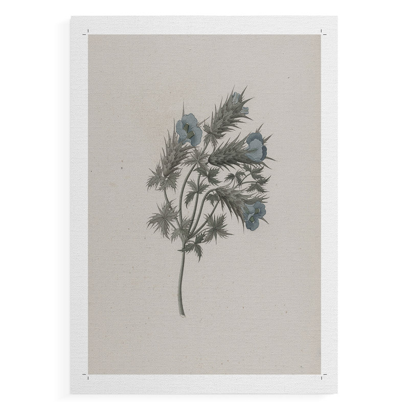Imprimé floral rétro CCXI - impression sur toile seulement - non encadrée, H 12 po x l 8 po