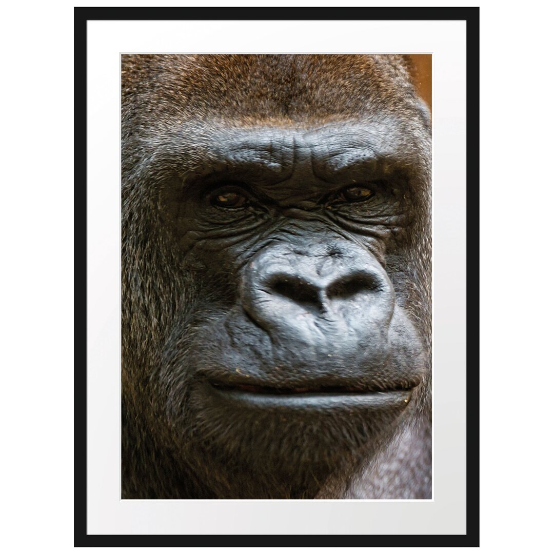 Gerahmtes Poster Stolzer Gorilla