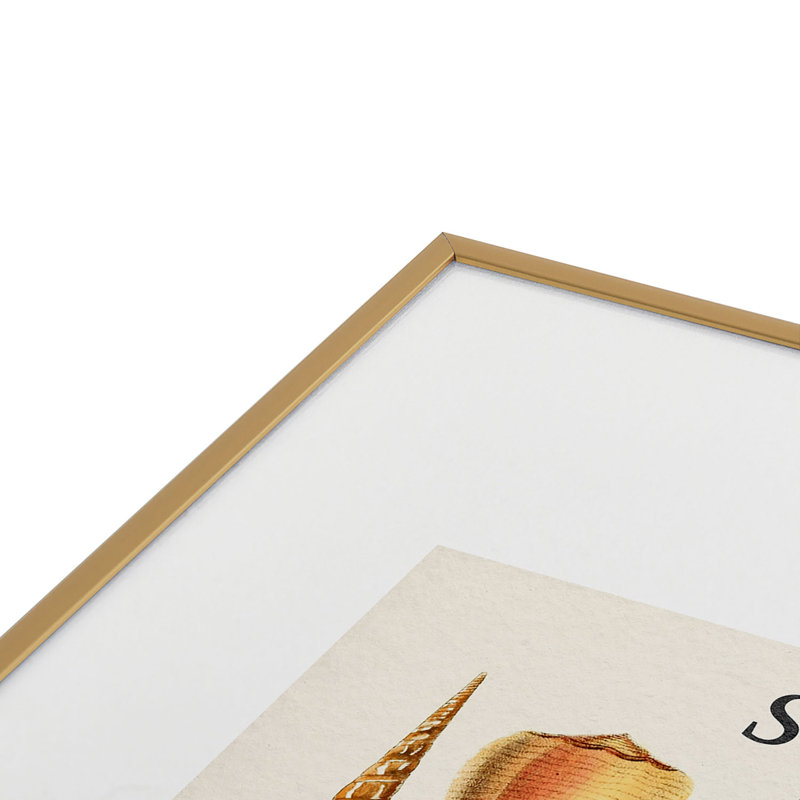 «Gal Design Seashells», reproduction d'art encadrée en métal, Or, H 24 po x l 18 po