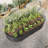 Raised Garden Bed Outdoor, Oval Large Metal Raised Planter Bed-973133473-973133479